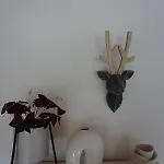 Au *