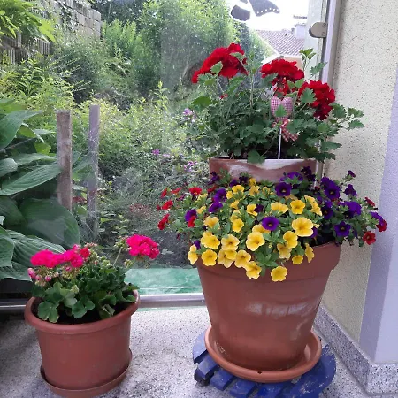 Apartamento Au Oberperfuss