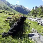 Au Lägenhet *