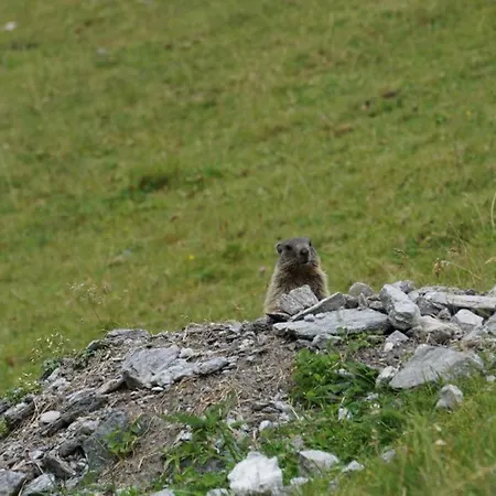公寓 Au 奥贝朴菲斯