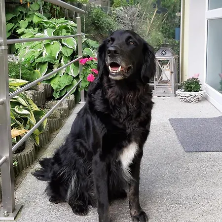 公寓 Au 奥贝朴菲斯