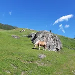 Appartement Au